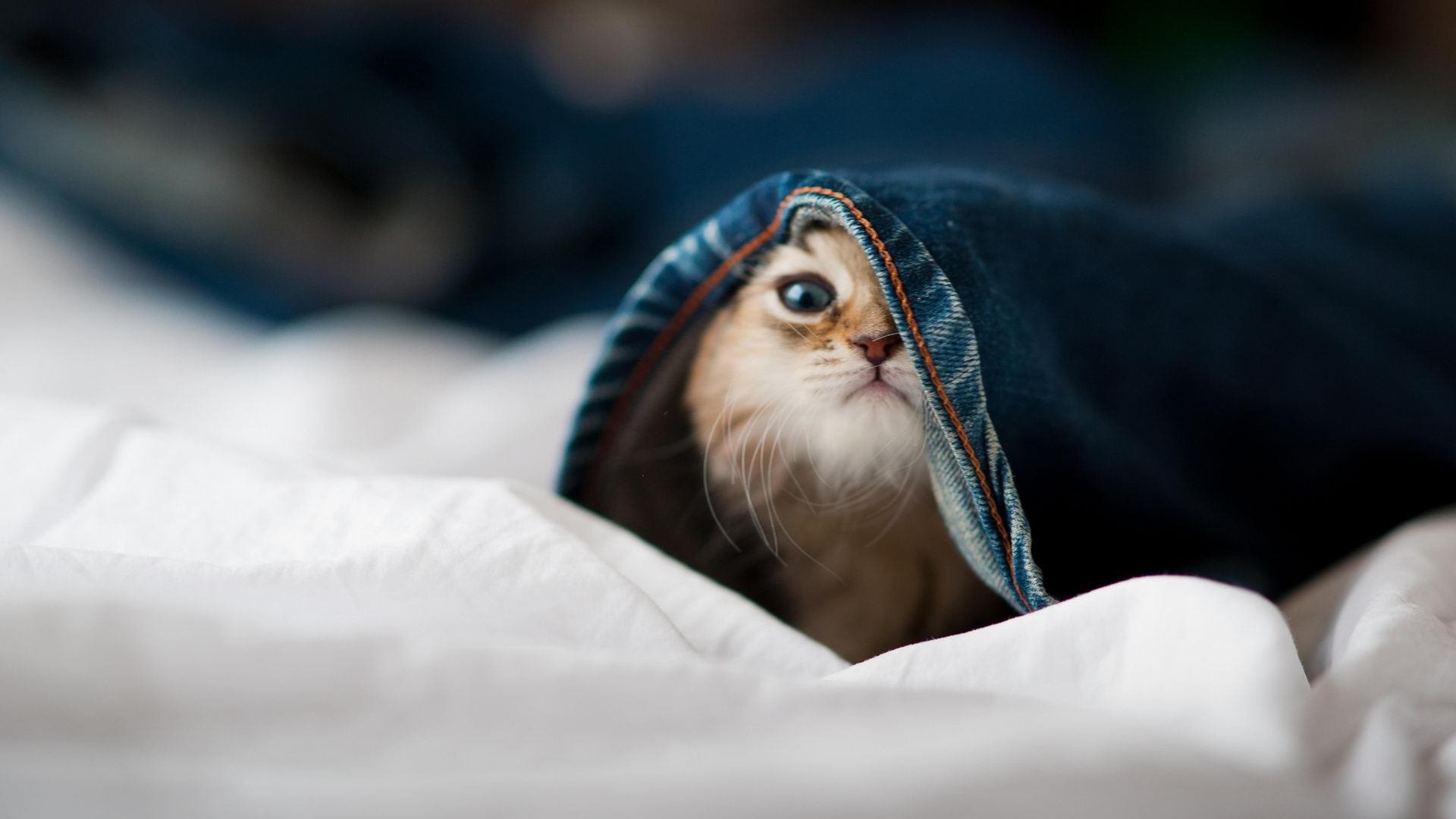 kaiyun体育app-_华夏杯全国青少年网球挑战赛：新星闪耀绿茵场_，2021全国青少年网球比赛