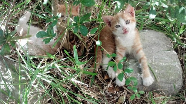 kaiyun开云·官方网站-_热火队防守严密，击退反扑对手_，热火队联防