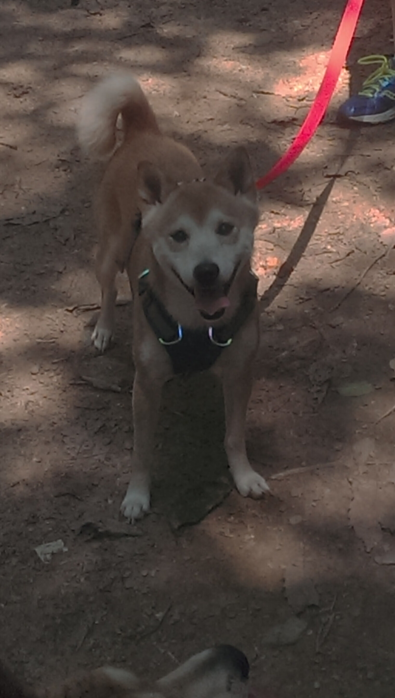 kaiyun官方入口登录-“季后赛高潮不断，强强对决引爆整场比赛热潮”，季后赛好嗨紧张