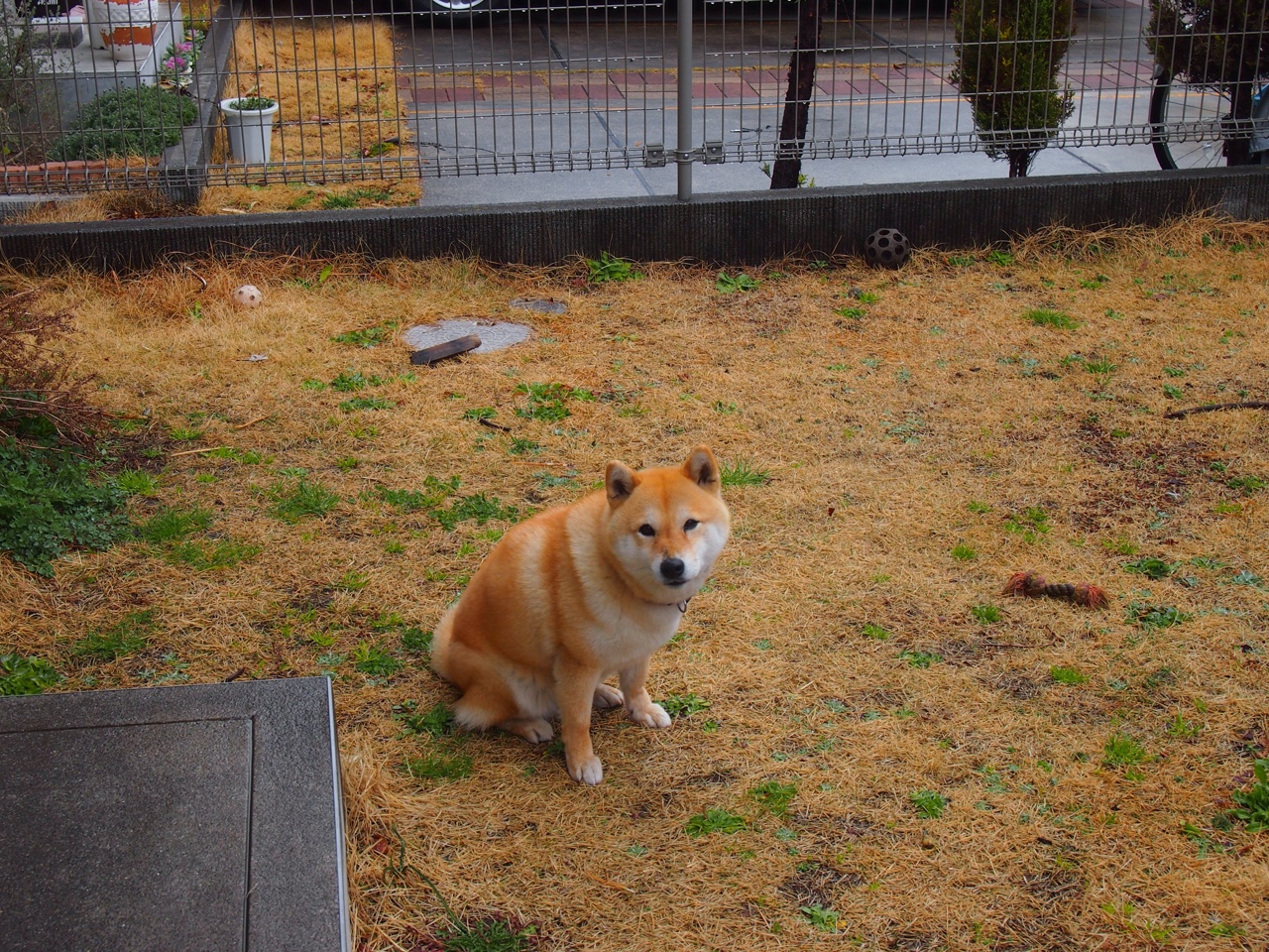 开云官网APP下载-“从平局到高潮：比赛最后一击瞬间席卷全场”