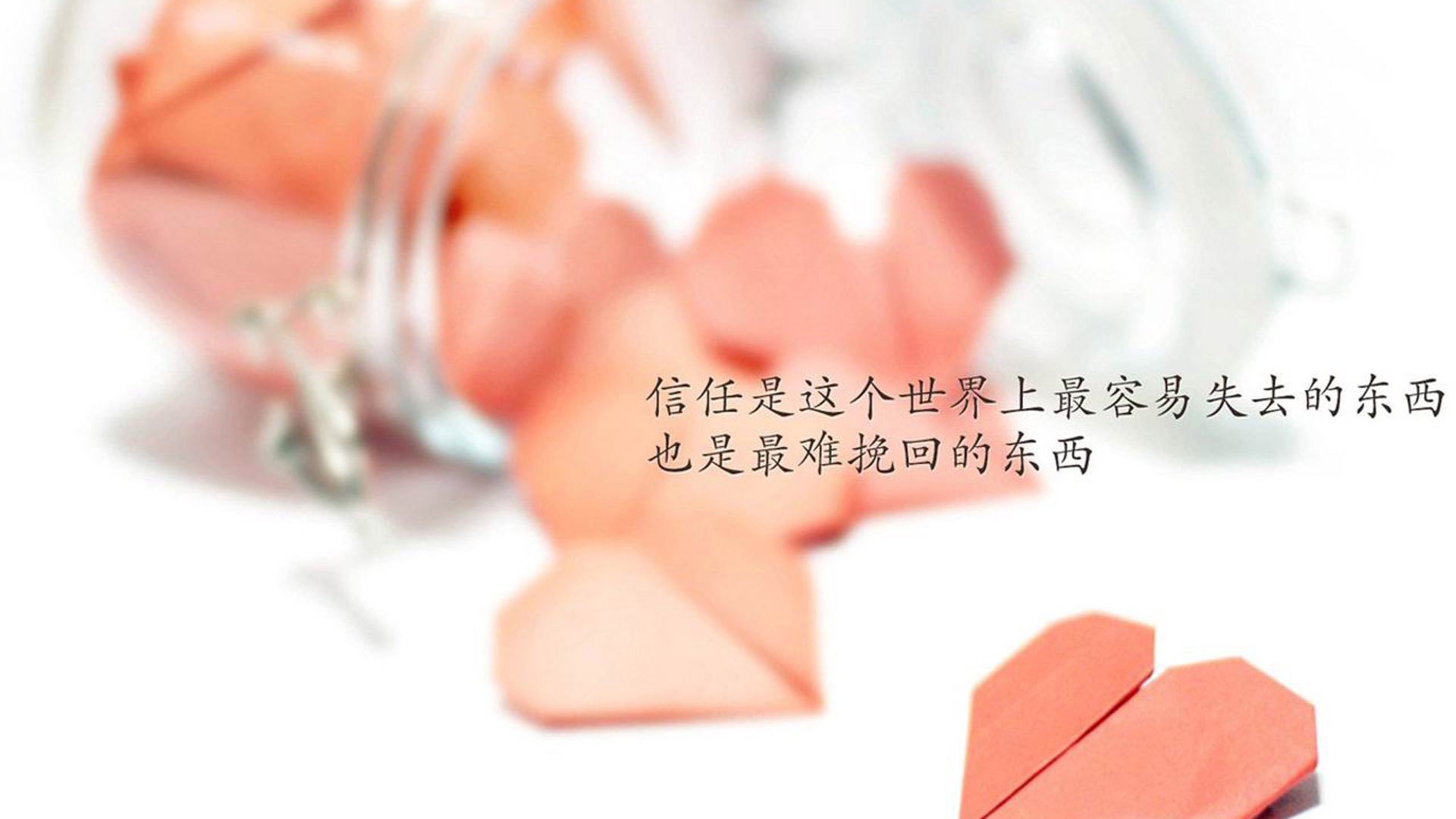 《顶级战队经理揭秘:打造冠军战队的幕后故事》,顶尖战队