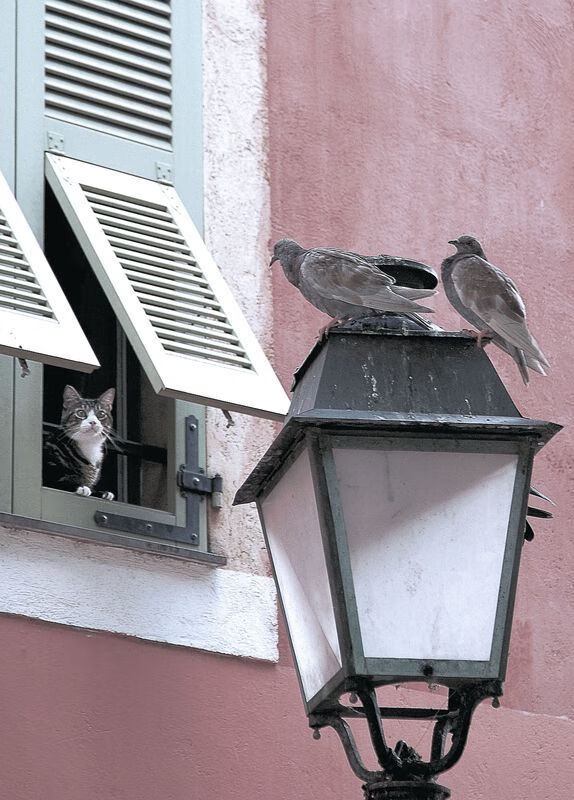 kaiyun.com-【新规则引发热议】如何加快比赛节奏？最新“快节奏”规则解析