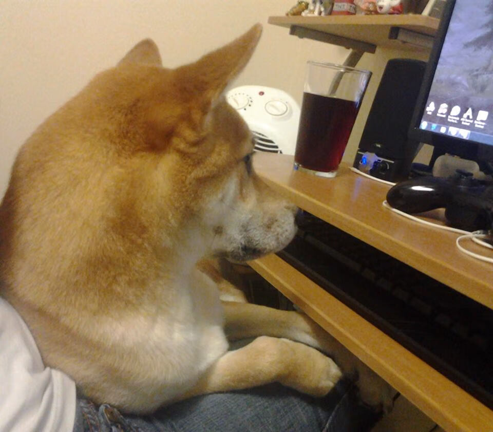 Kaiyun官方登录入口-史上最“爆炸”单场得分纪录，谁是你的“英雄”？，得分爆炸力最强的十位球员