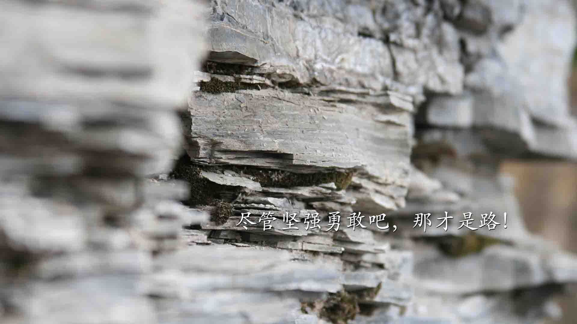 坦克世界“终极坦克赛”群雄争霸,坦克对决火爆升级