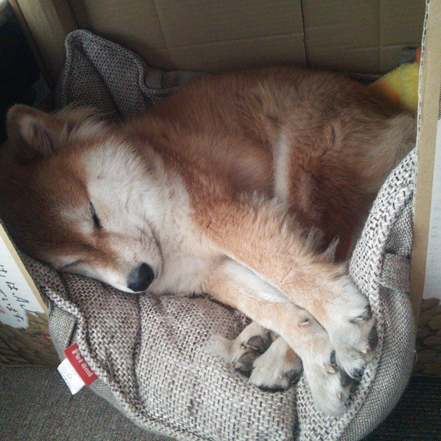 kaiyun开云·官方网站-国际电竞盛典年度最强战队集结一堂，精彩对决引爆赛场，电竞国际比赛