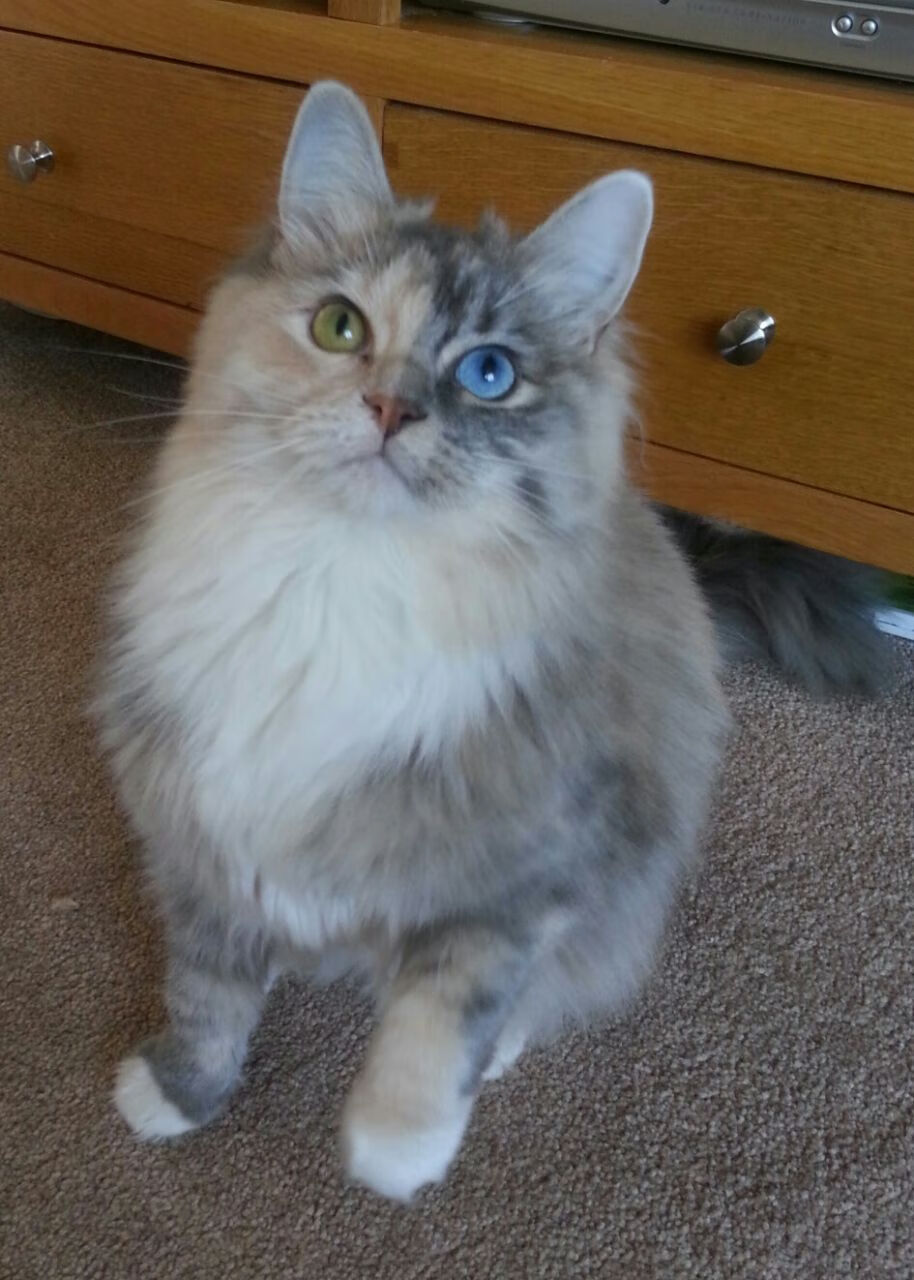 德甲创新战术引领潮流,比赛中精彩瞬间频繁发生,德甲的比赛