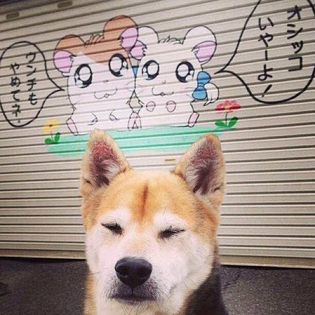 KAIYUN 中国大陆-悬挂式攀爬挑战：高空中突破自我，爬升架与悬挑架优缺点