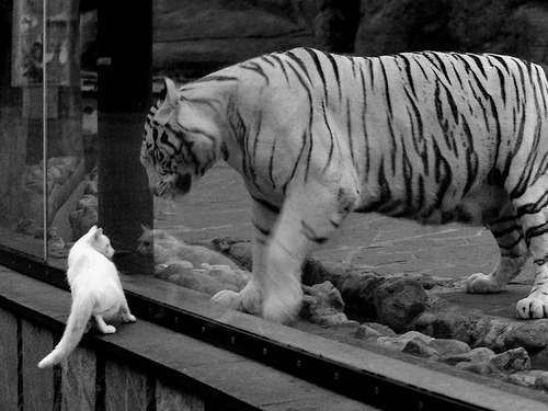 kaiyun体育app-比赛数据实时更新，满足球迷需求，球员比赛数据