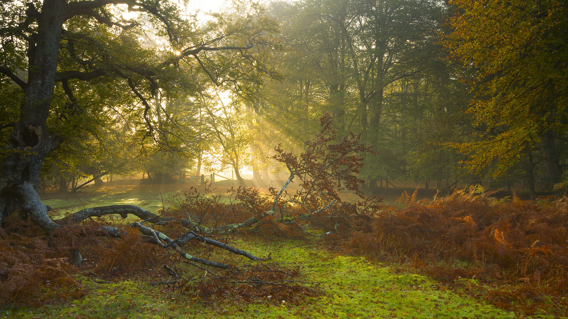 NBA与电竞共建青少年培训基地,nba 电竞