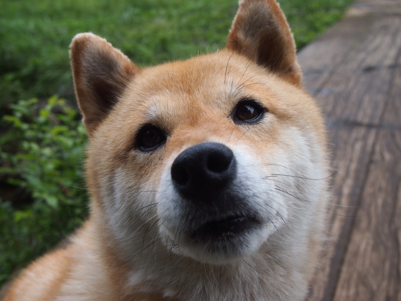 开云网站-新秀球员崭露头角，一展身手惊艳全场，nba球员新秀