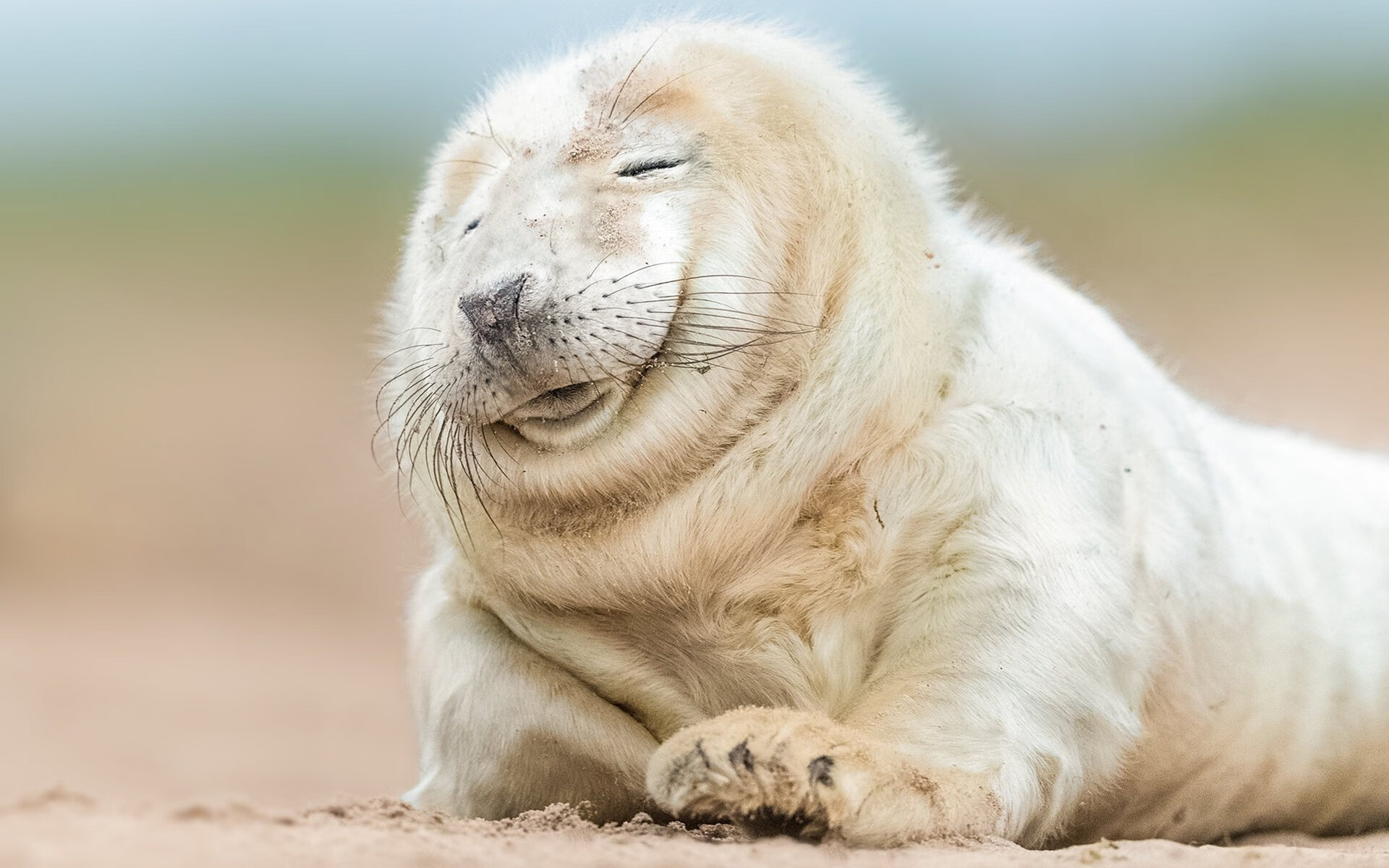 纽卡斯尔联主场4-1大胜曼联,赛季双杀红魔,曼联4_1纽卡斯尔联集锦