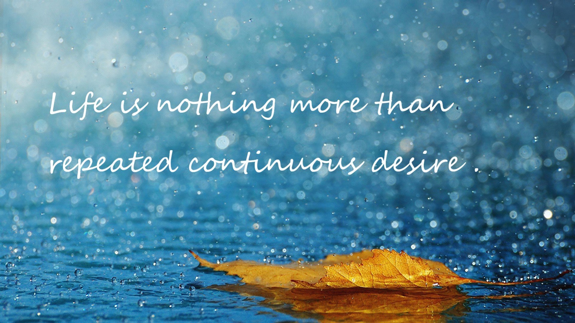 kaiyun官方网站-北京鸭通过内部模拟赛检验阵容深度，北京鸭子