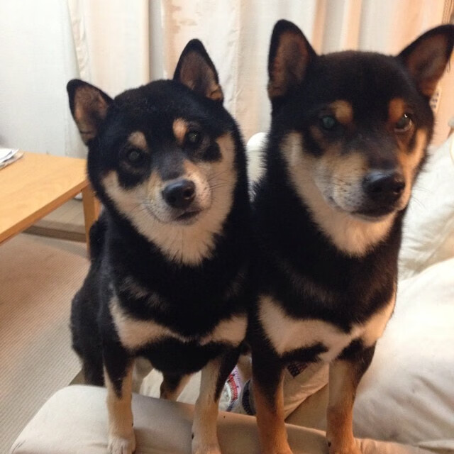 “马科斯·梅特罗:阿根廷美洲狮队的防守铁壁,未来无限可能”