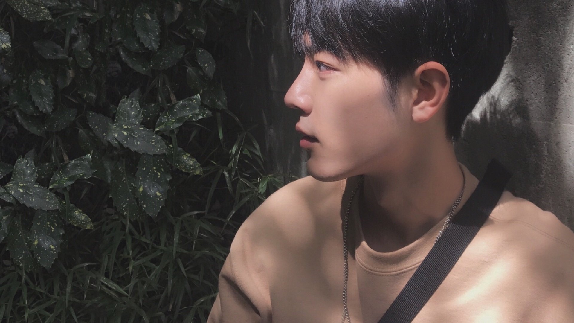 开云平台-艾哈迈德·贾瓦迪泳池内展现斗志，艾哈迈德·贾布里勒